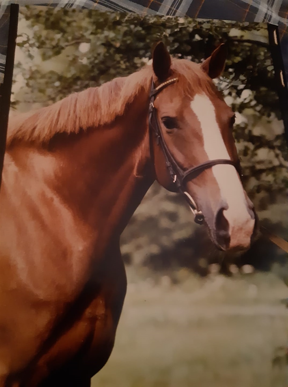 Bie Bella
Foto Johan Frederik Tholander