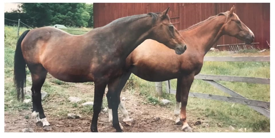 Bellona och Bell-Ami
Foto Pernilla Evin