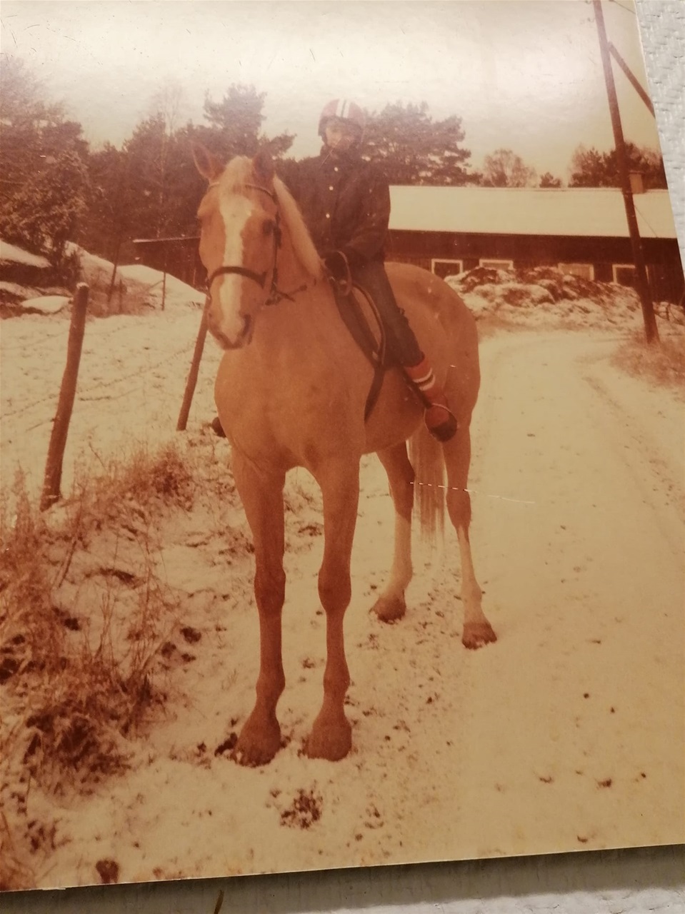 Rebell & Inger Lindegren ca 1981
Foto Leif Lindegren